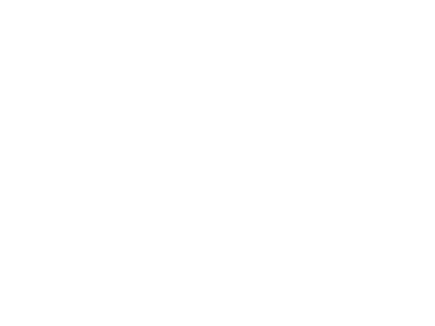 Logo-Rava